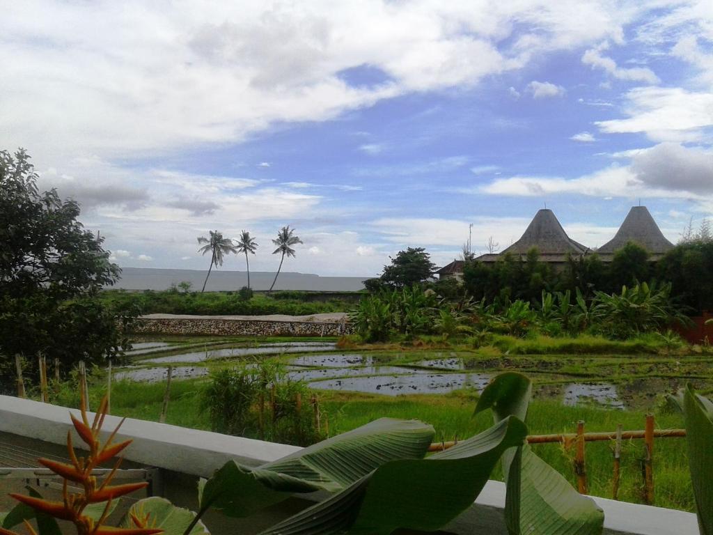 Surfer Paradise Villas Canggu Exteriör bild